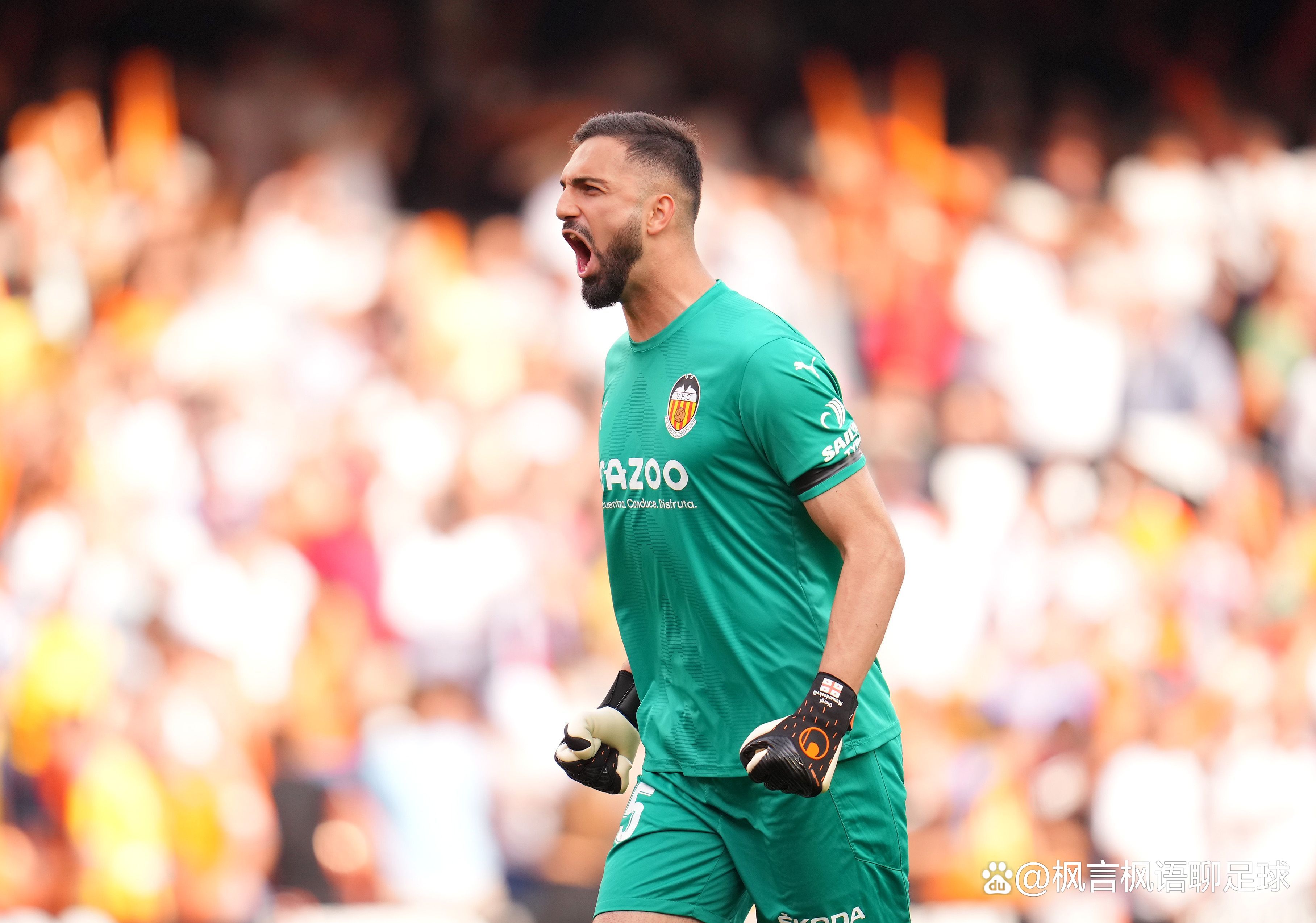 开云体育app-巴伦西亚队凭借团队合作实现胜利