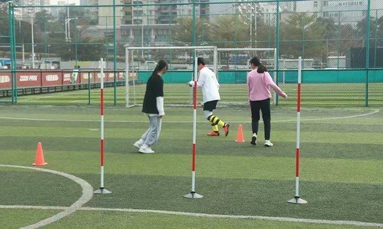 开云体育app下载-体育科学家揭秘足球运动技巧