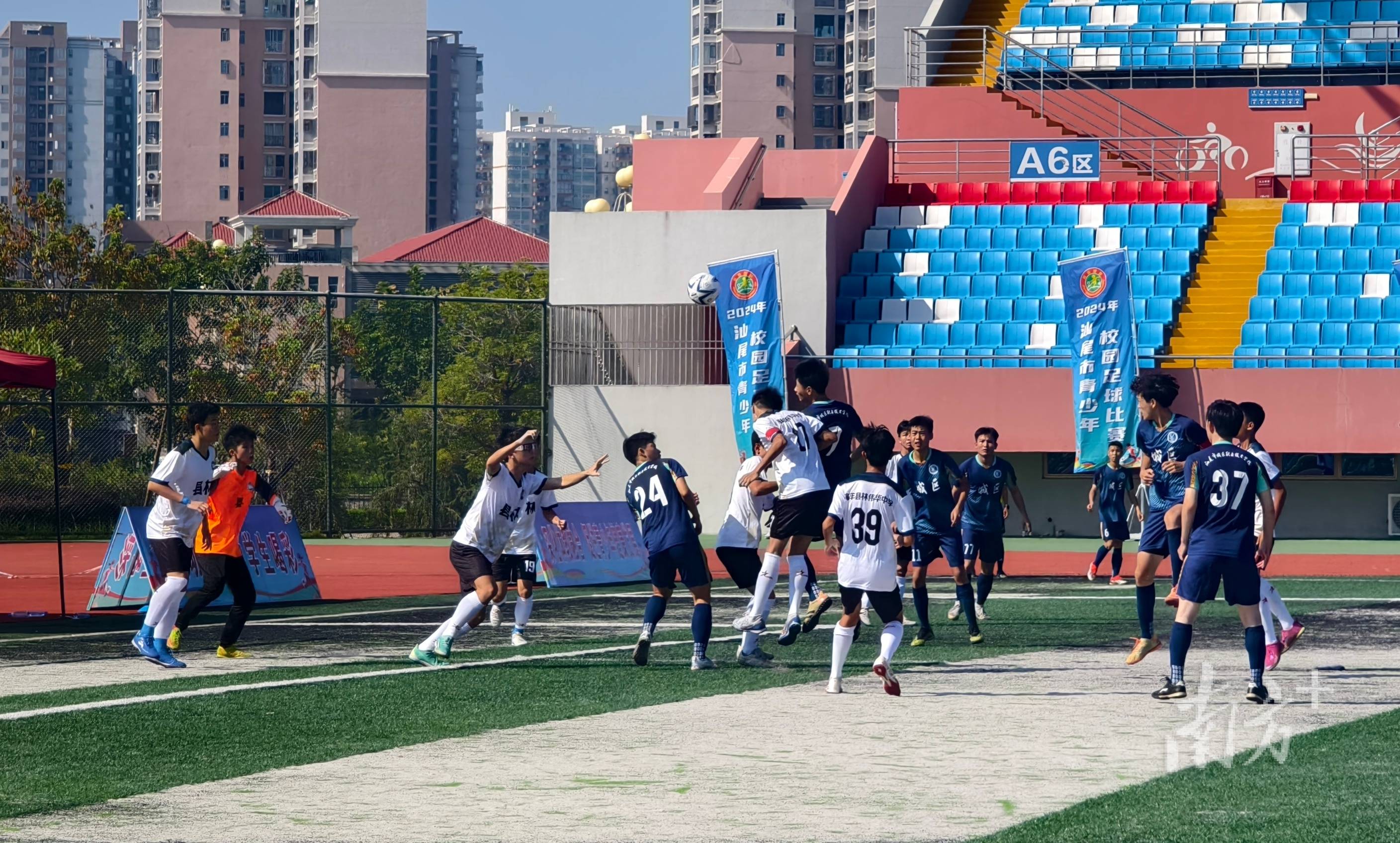 体育比赛为世界带来和谐与激情 体育比赛为世界带来和谐与激情