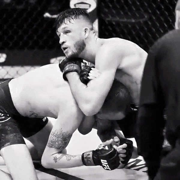 开云体育app-包含里尔击败对手，继续追赶领先者的词条